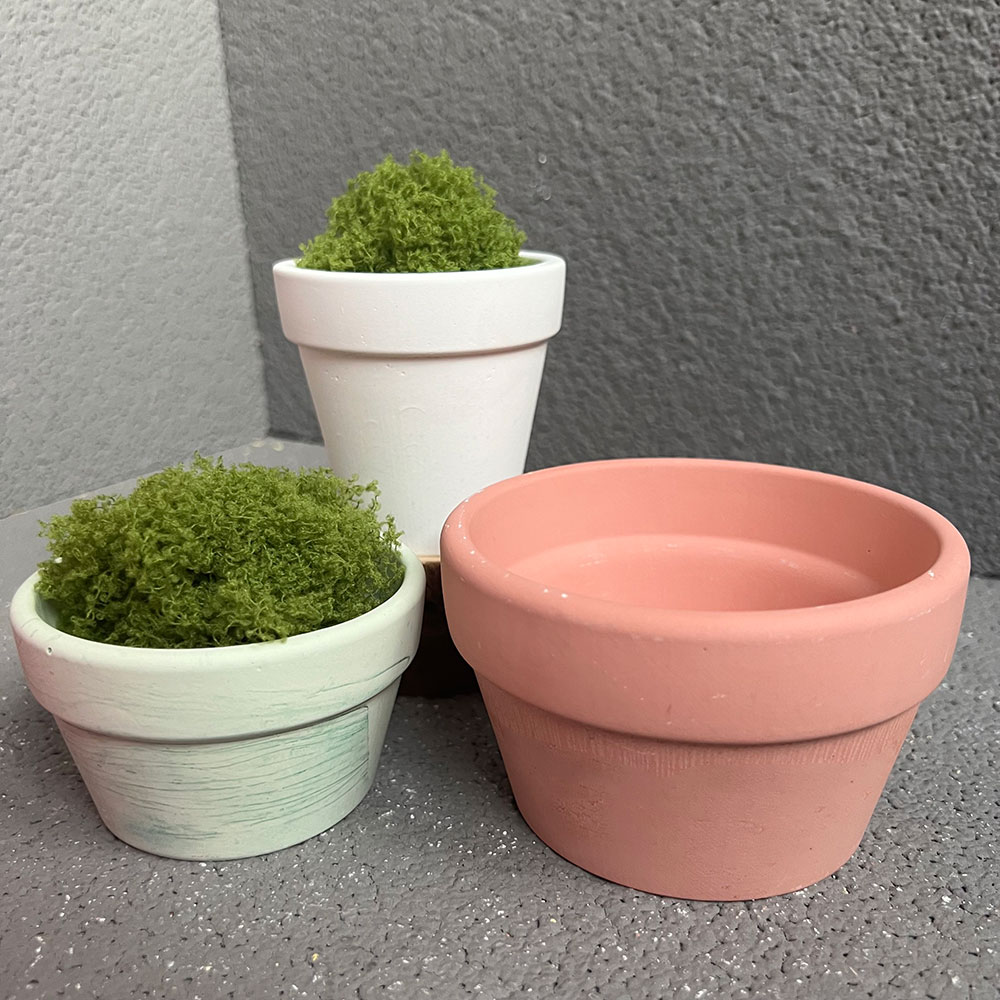Large Concrete Plant Pot Silic - Coaster Mold Round 评论和价格