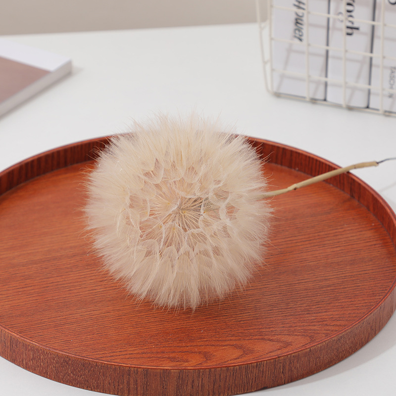 Preserved Dandelion DIY Epoxy  - Resin Crafts Diy 评论和价格
