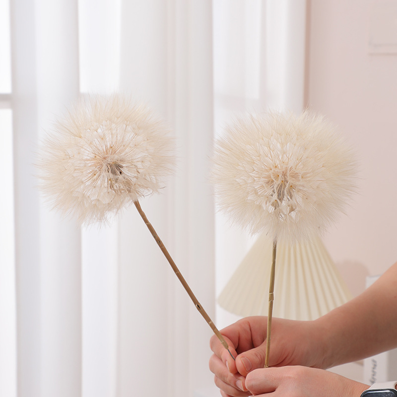 Preserved Dandelion DIY Epoxy  - Resin Crafts Diy 评论和价格